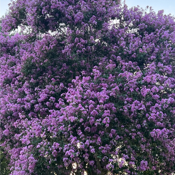 igonzalez1996